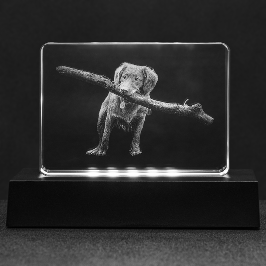 Personalized Crystal - Stadium - HBS Inspire Me