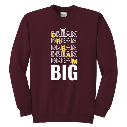 Dream Big Youth Sweatshirt - HBS Inspire Me